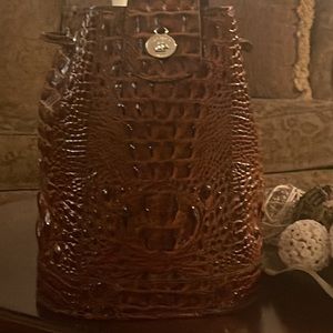 Brown Brahmin Backpack with Large Travel Walle